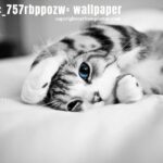 cute:_757rbppozw= wallpaper