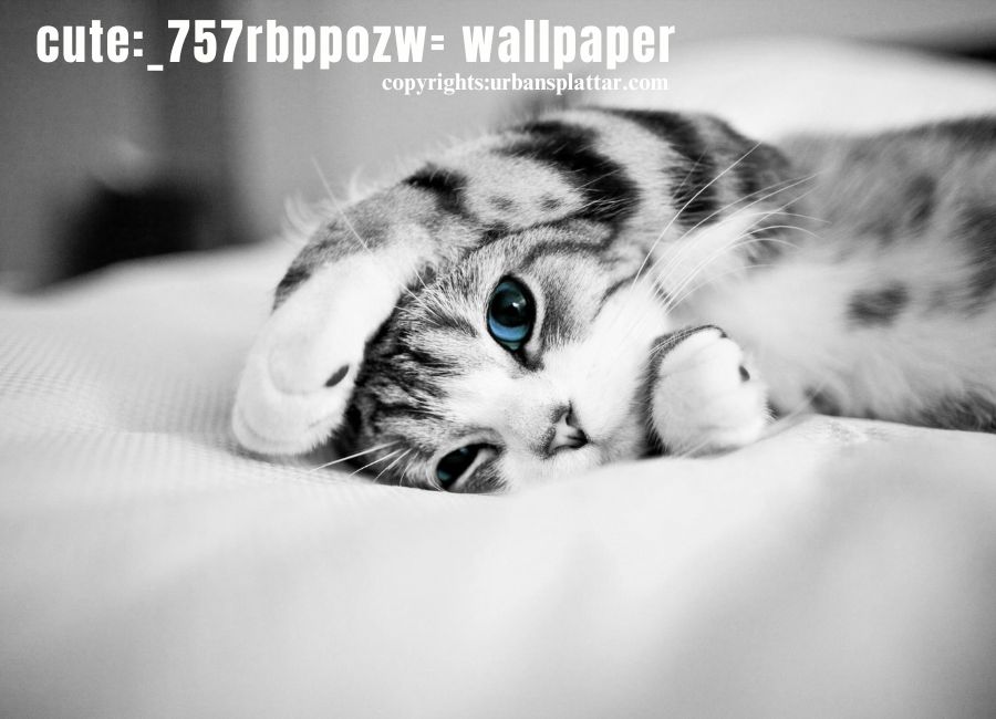 cute:_757rbppozw= wallpaper