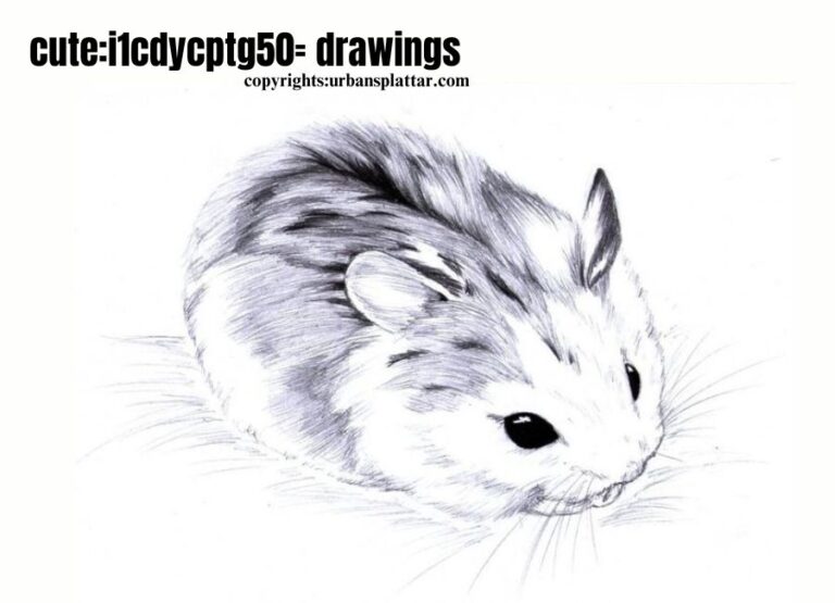 cute:i1cdycptg50= drawings