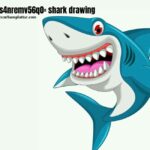 cute:s4nremv56q0= shark drawing