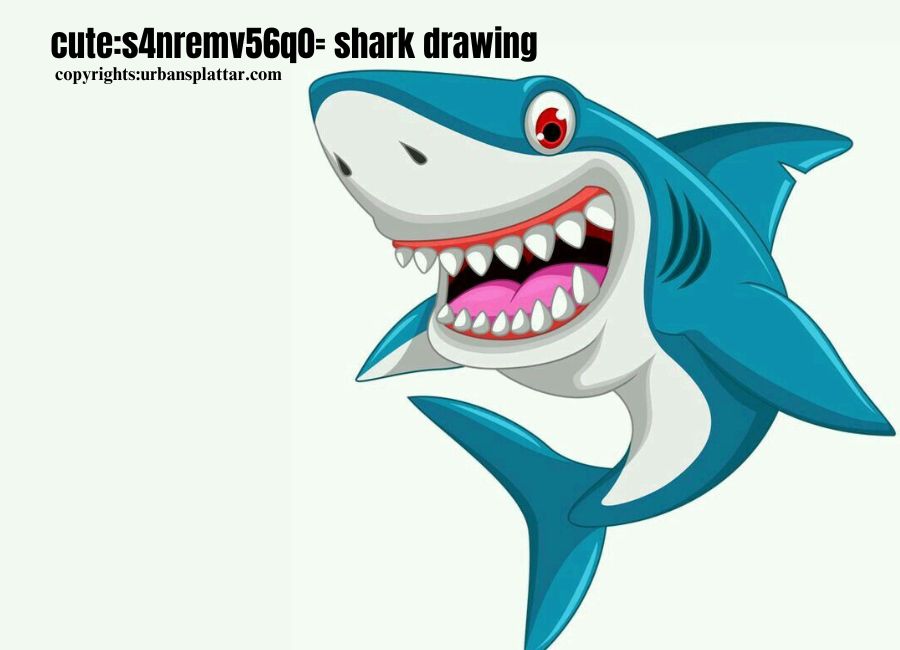 cute:s4nremv56q0= shark drawing