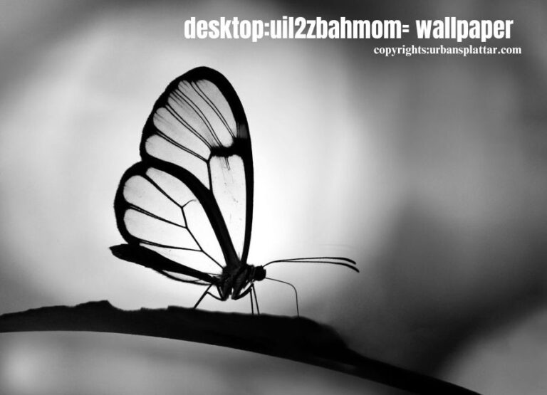 desktop:uil2zbahmom= wallpaper